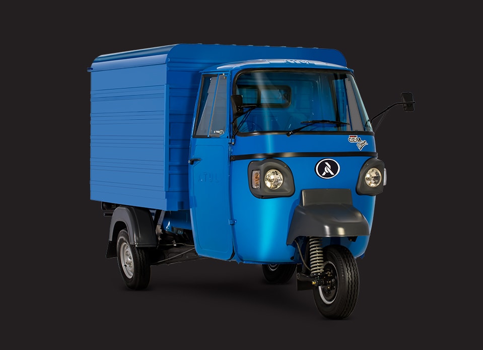 GEM Delivery Van